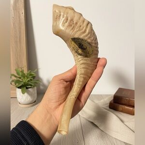 Natural Shofar Horn